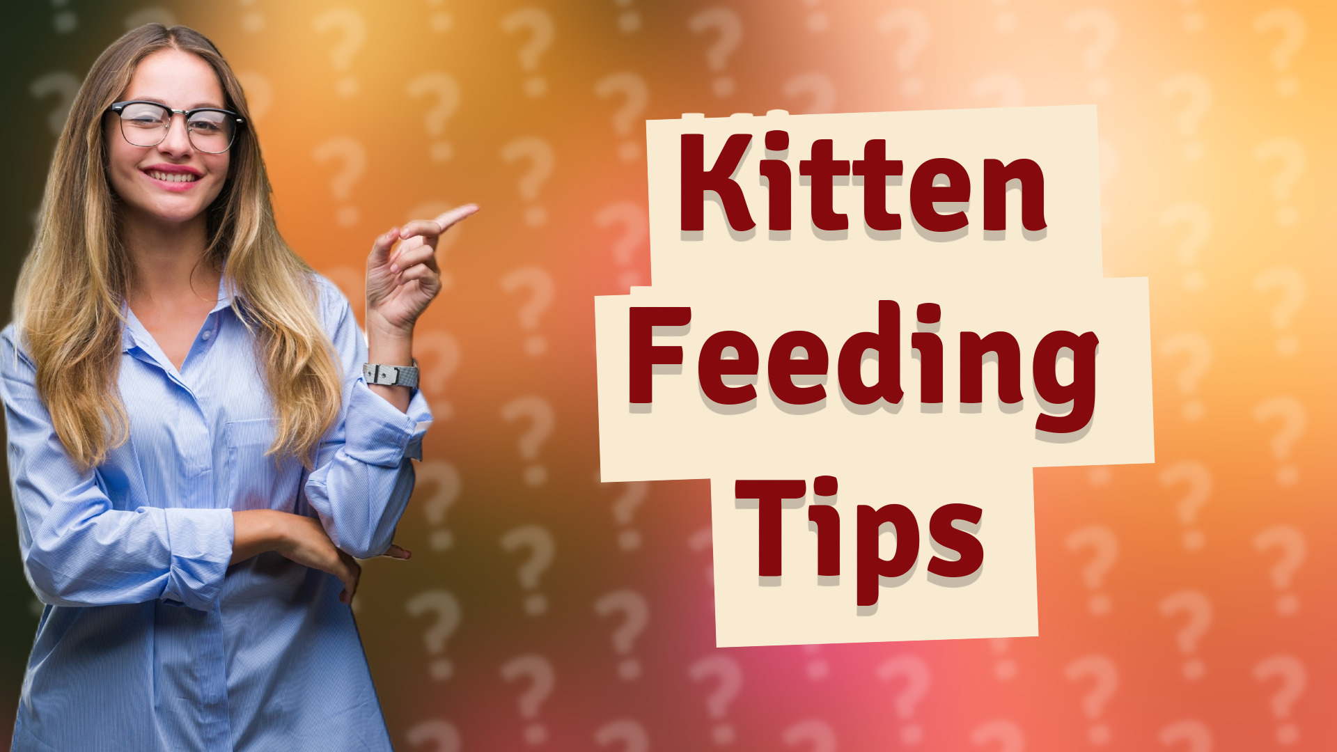 Kitten Feeding Tips