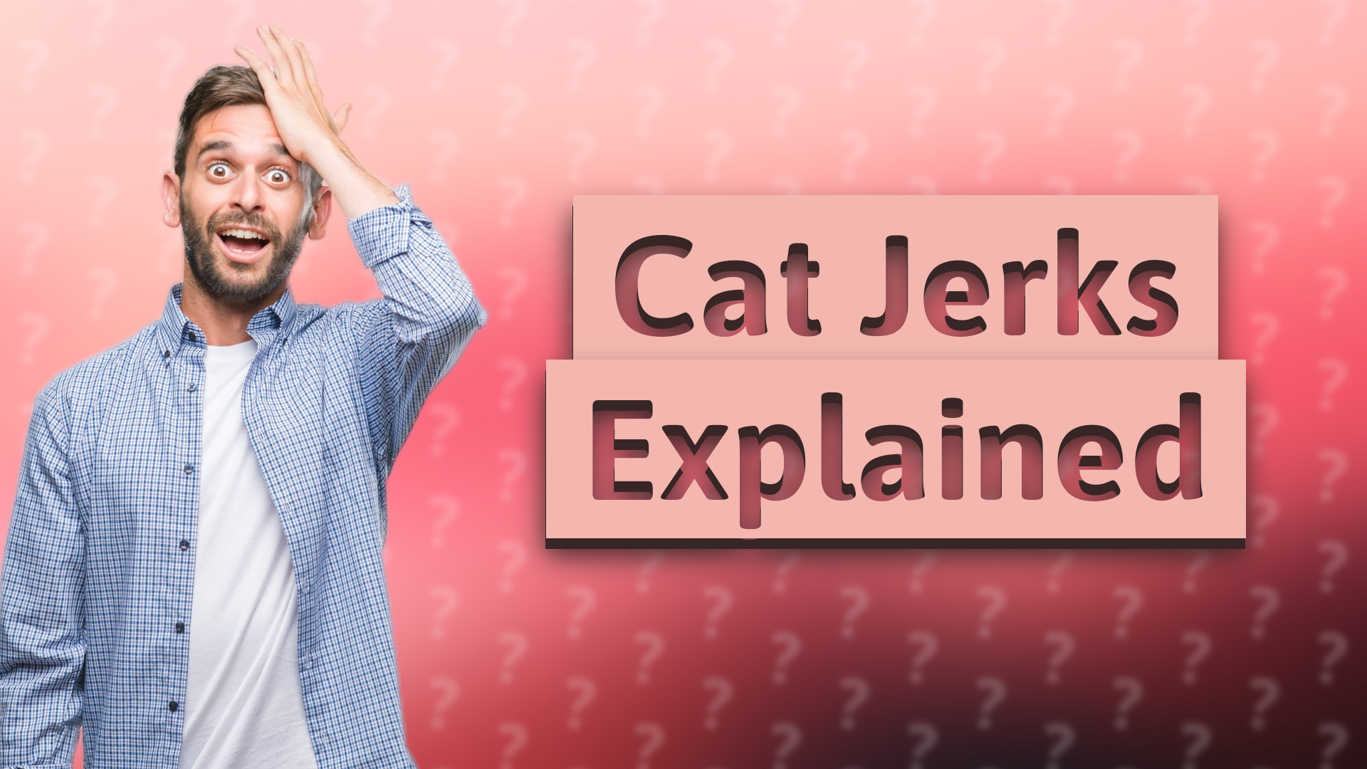 Cat Jerks Explained