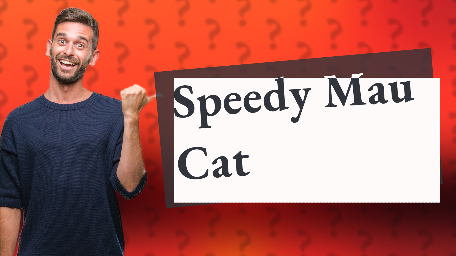 Speedy Mau Cat