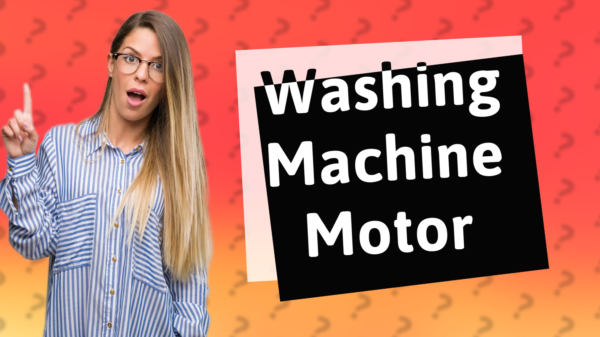 Washing Machine Motor
