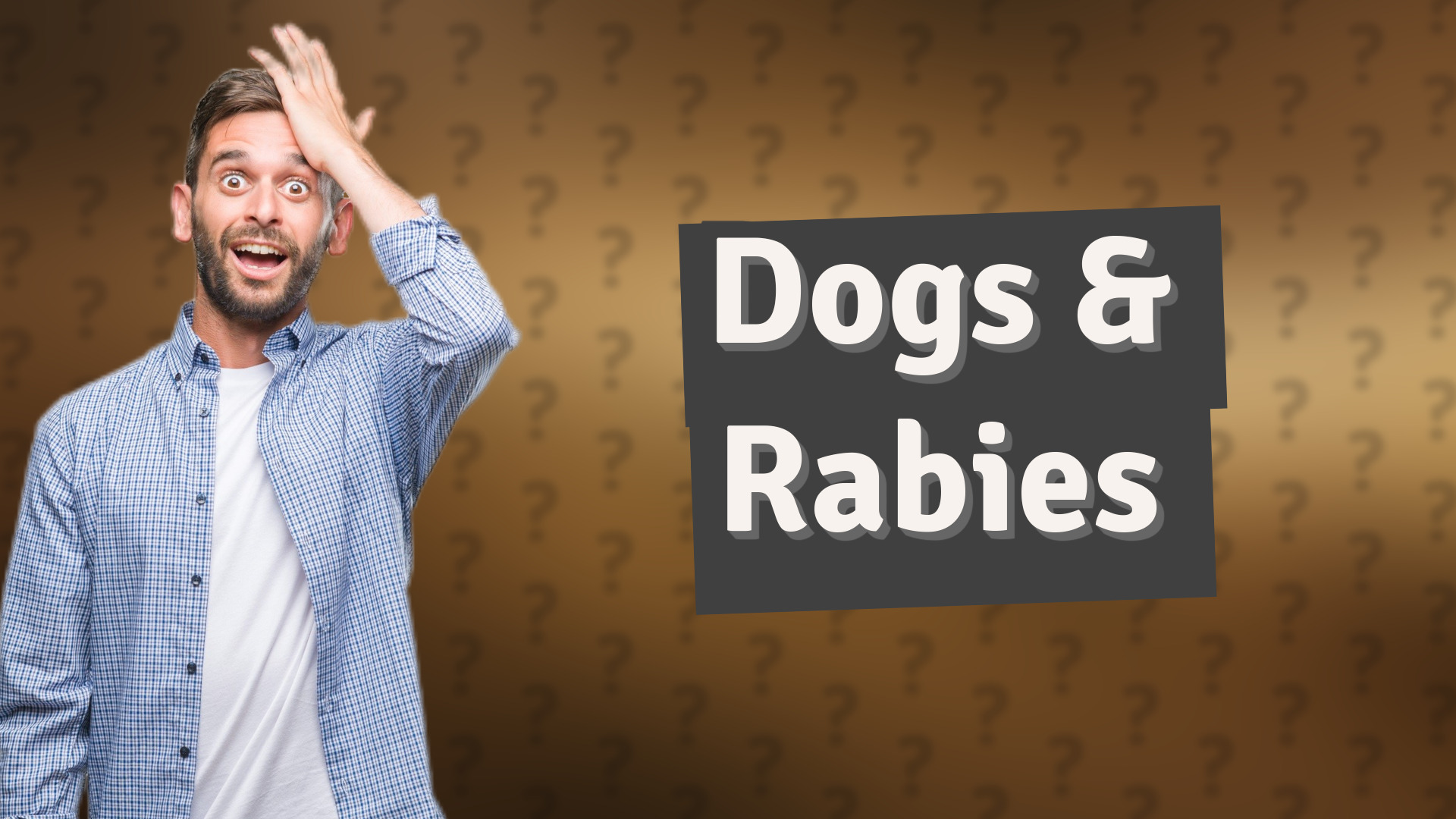 Dogs & Rabies
