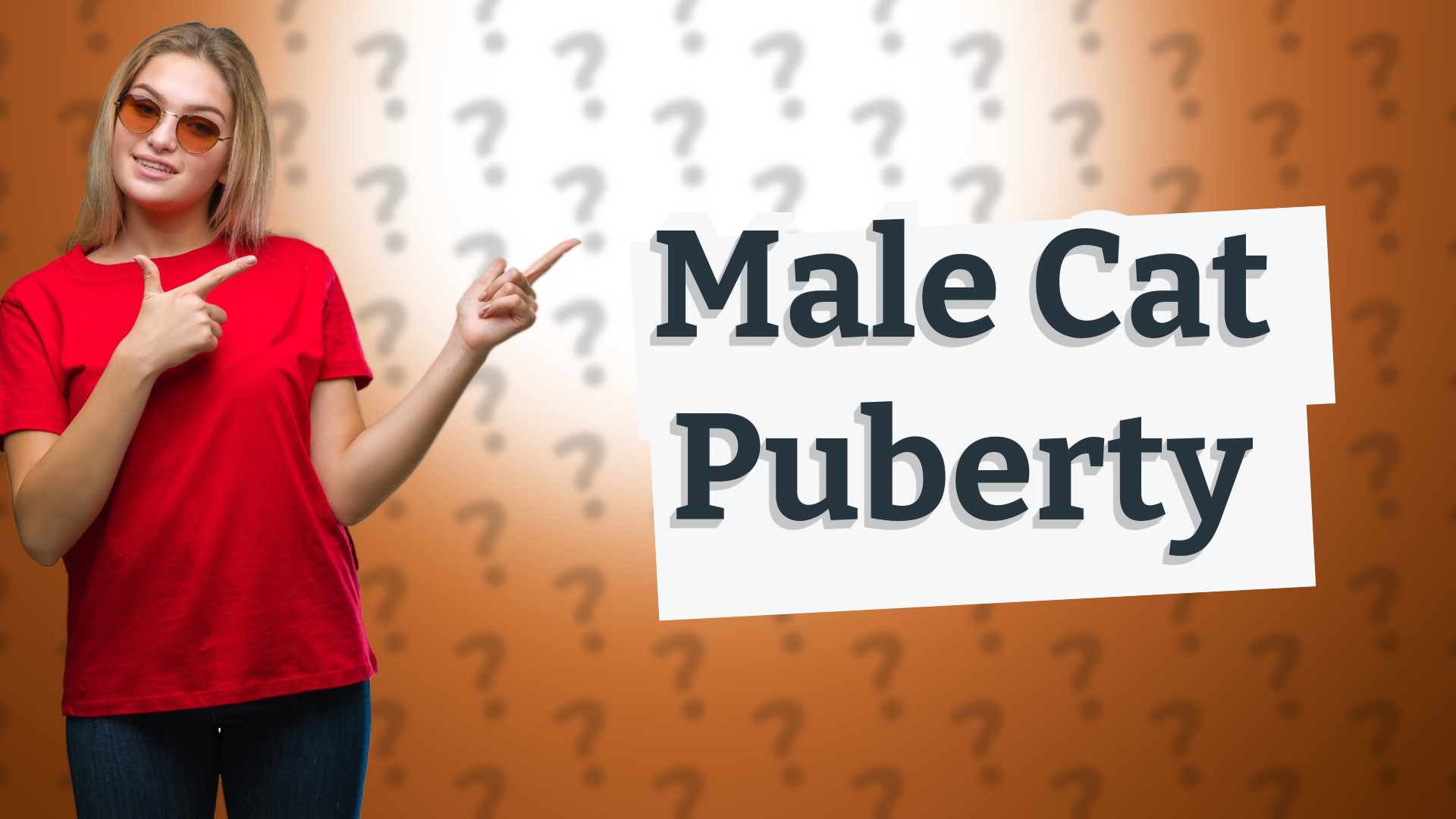 Male Cat Puberty