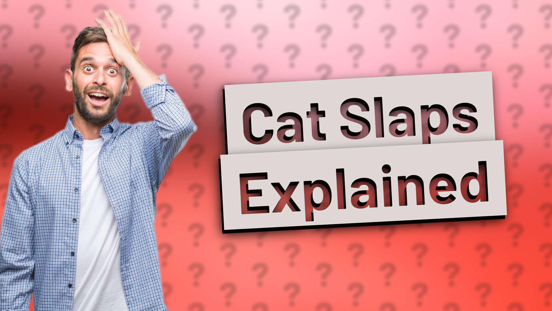 Cat Slaps Explained