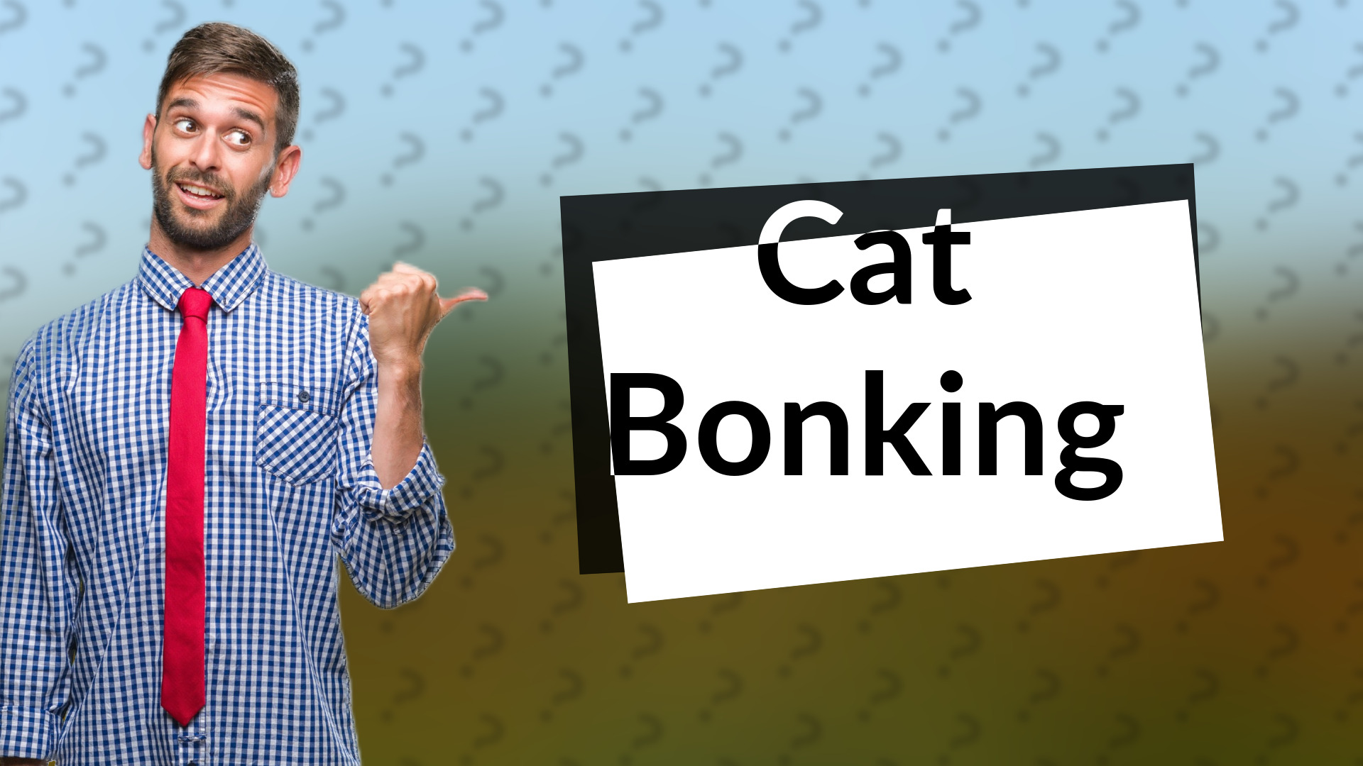 Cat Bonking