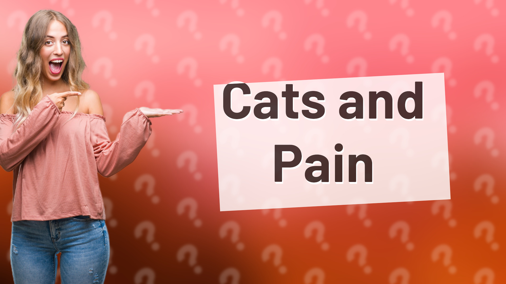 Cats and Pain