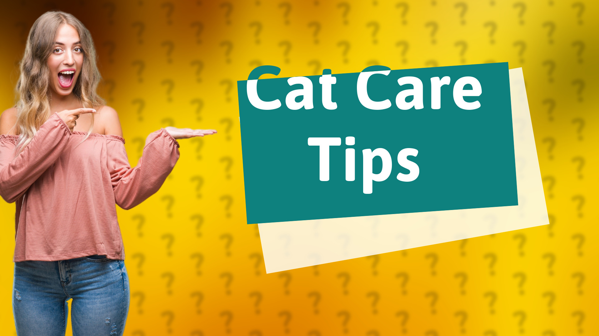 Cat Care Tips