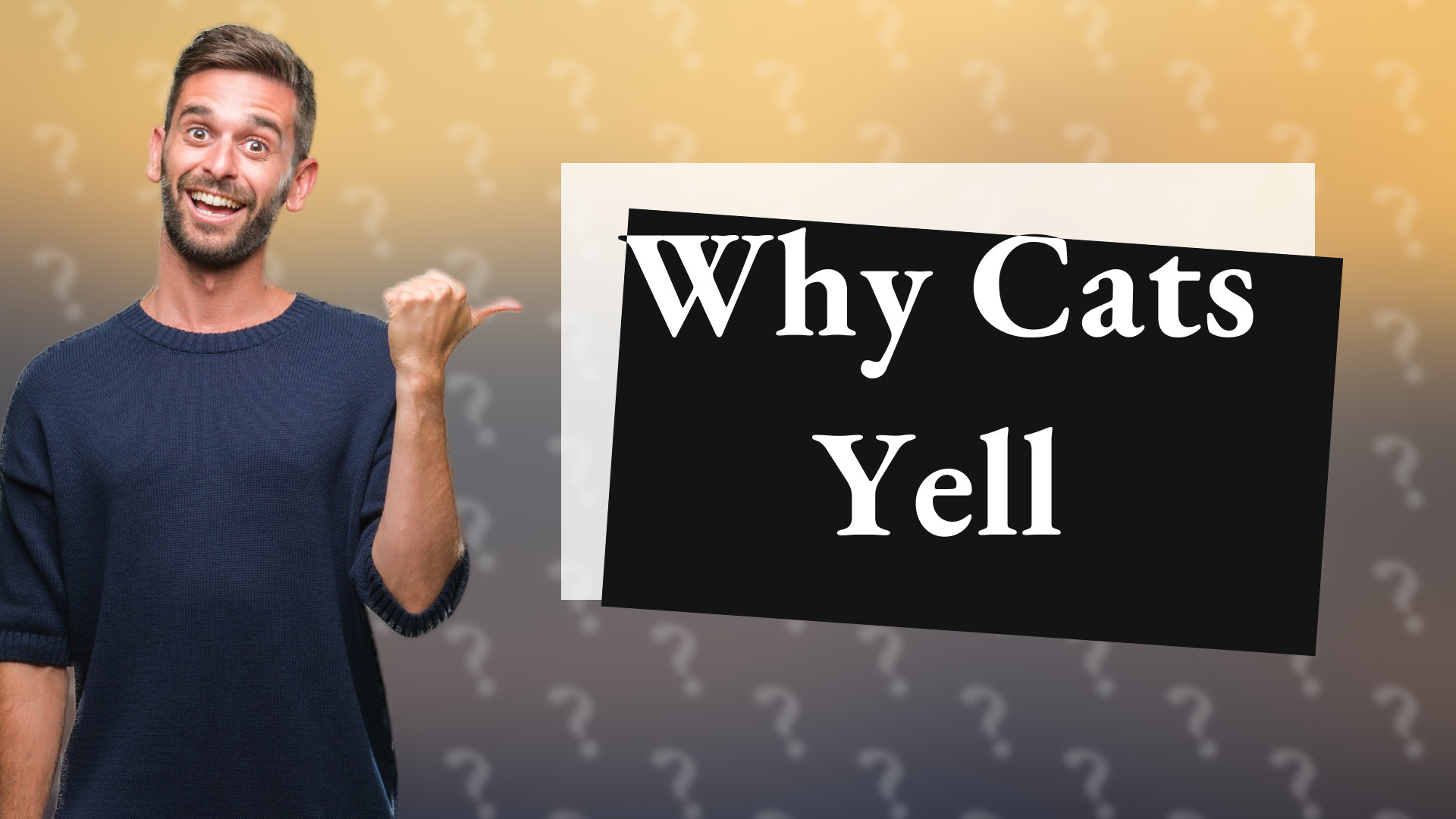 Why Cats Yell