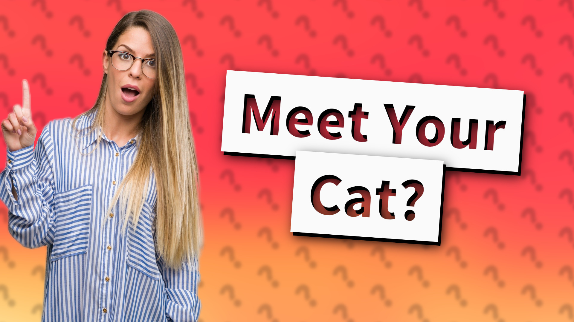 Meet Your Cat?