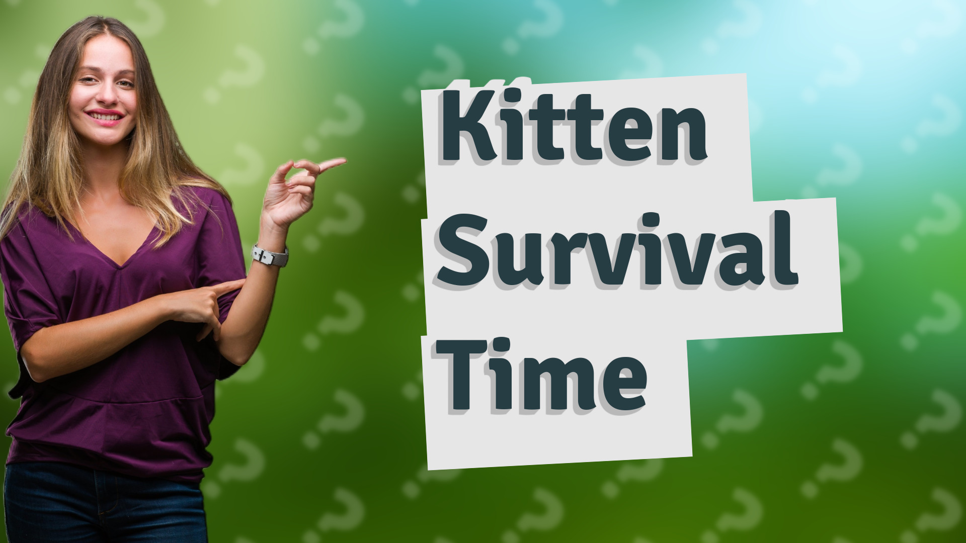 Kitten Survival Time