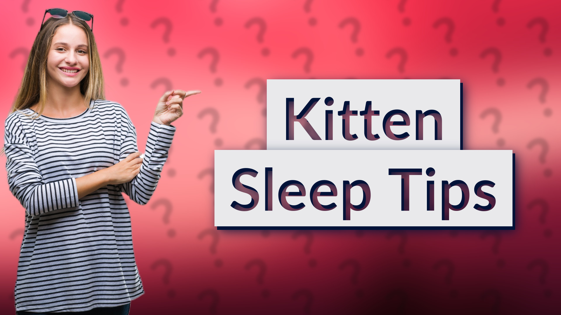 Kitten Sleep Tips