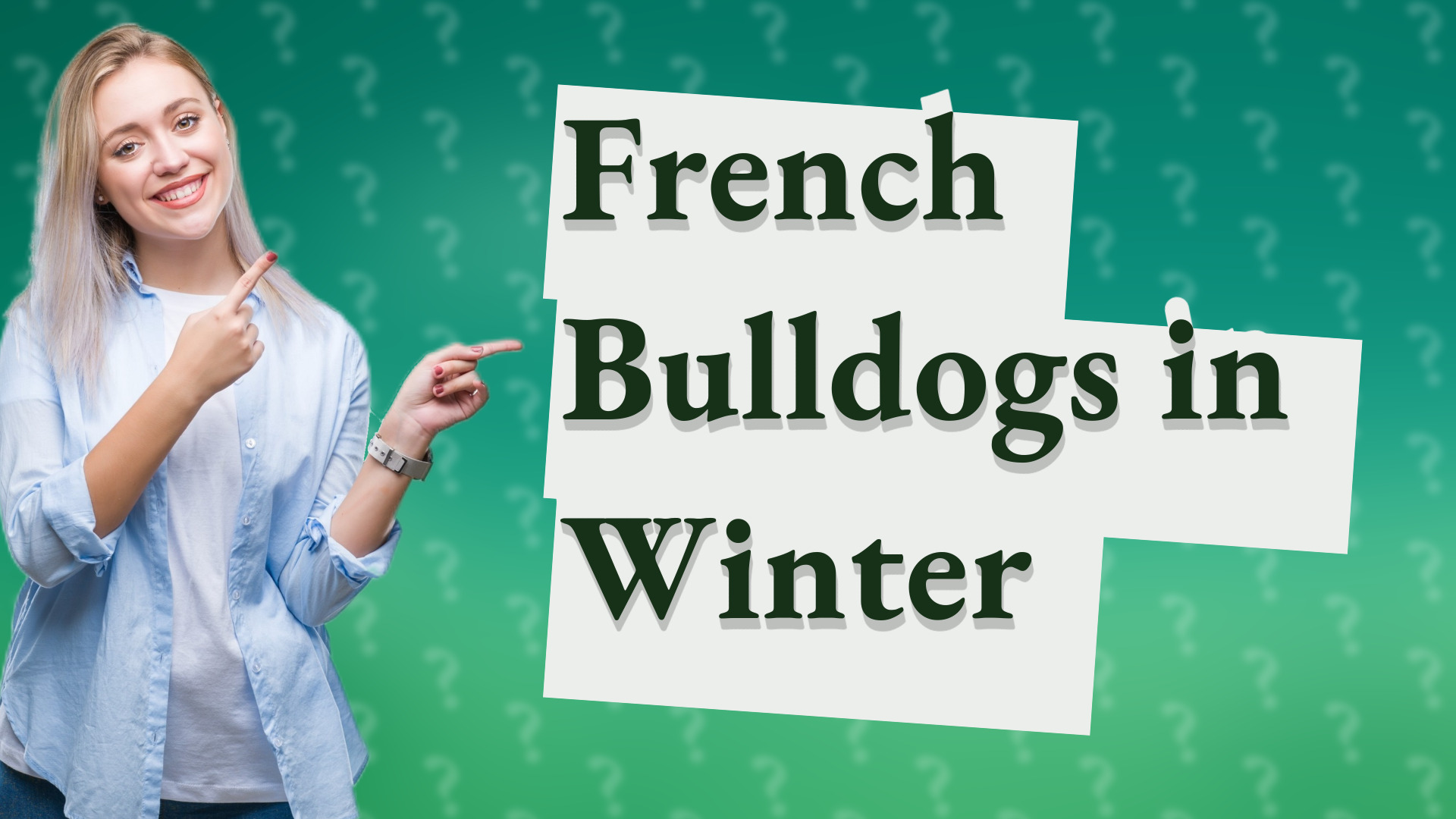 French Bulldogs in Winter