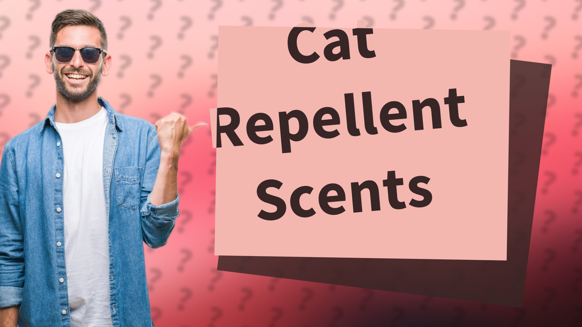 Cat Repellent Scents