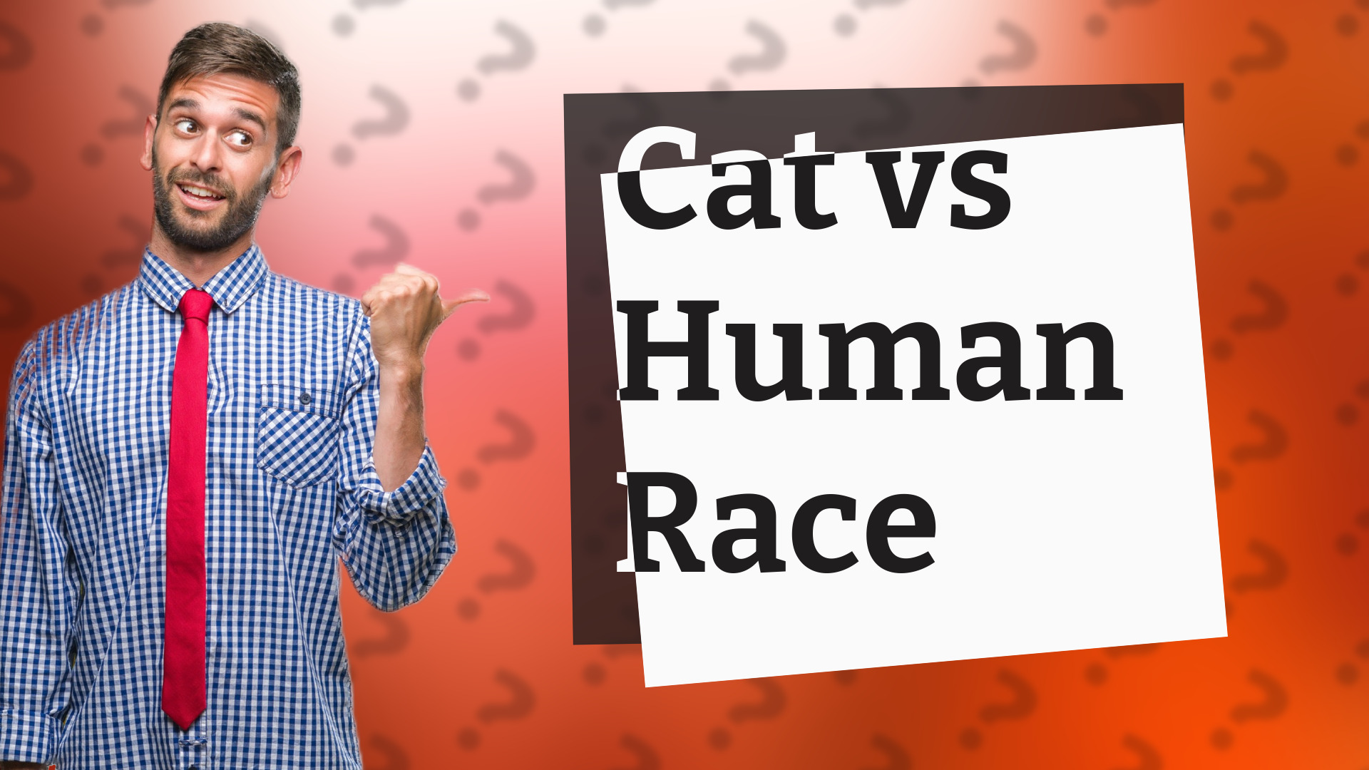 Cat vs Human Race