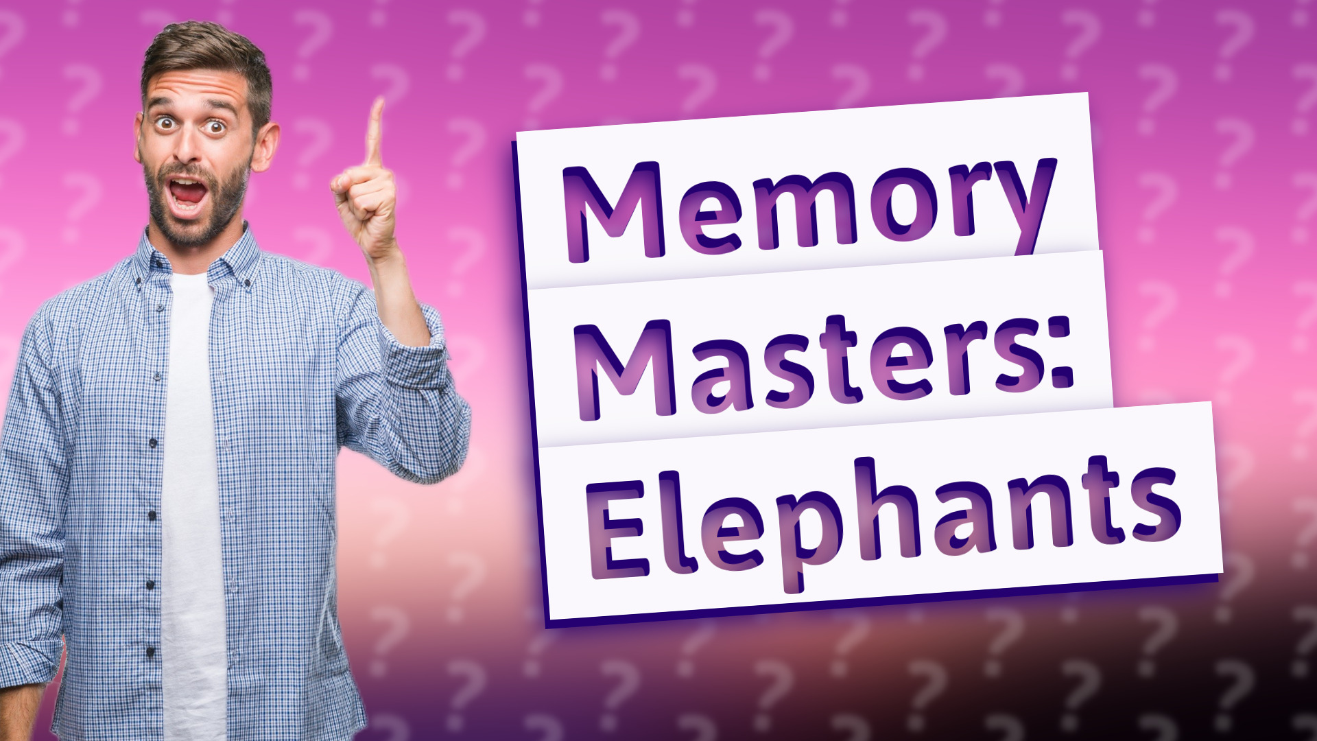 Memory Masters: Elephants