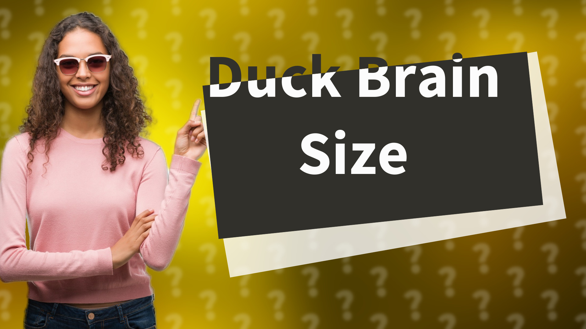 Duck Brain Size