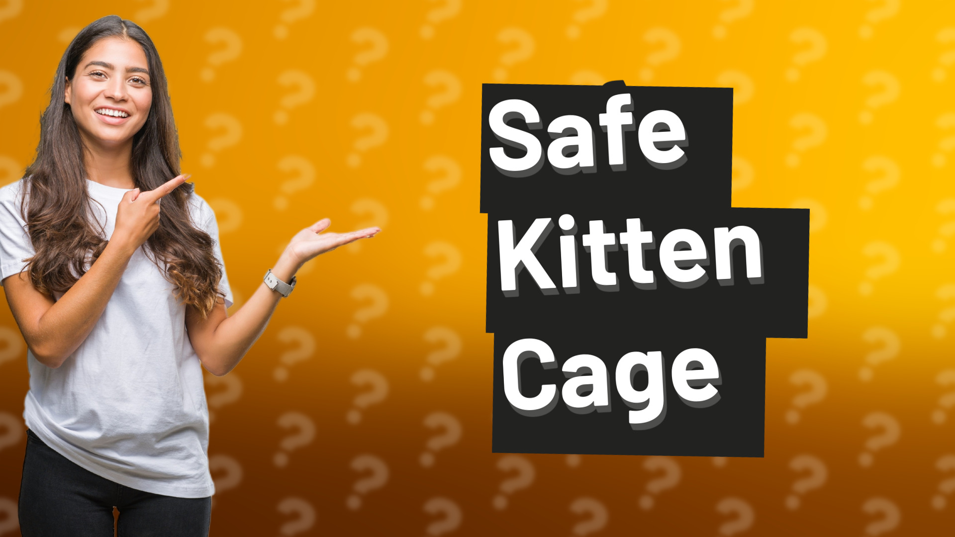 Safe Kitten Cage