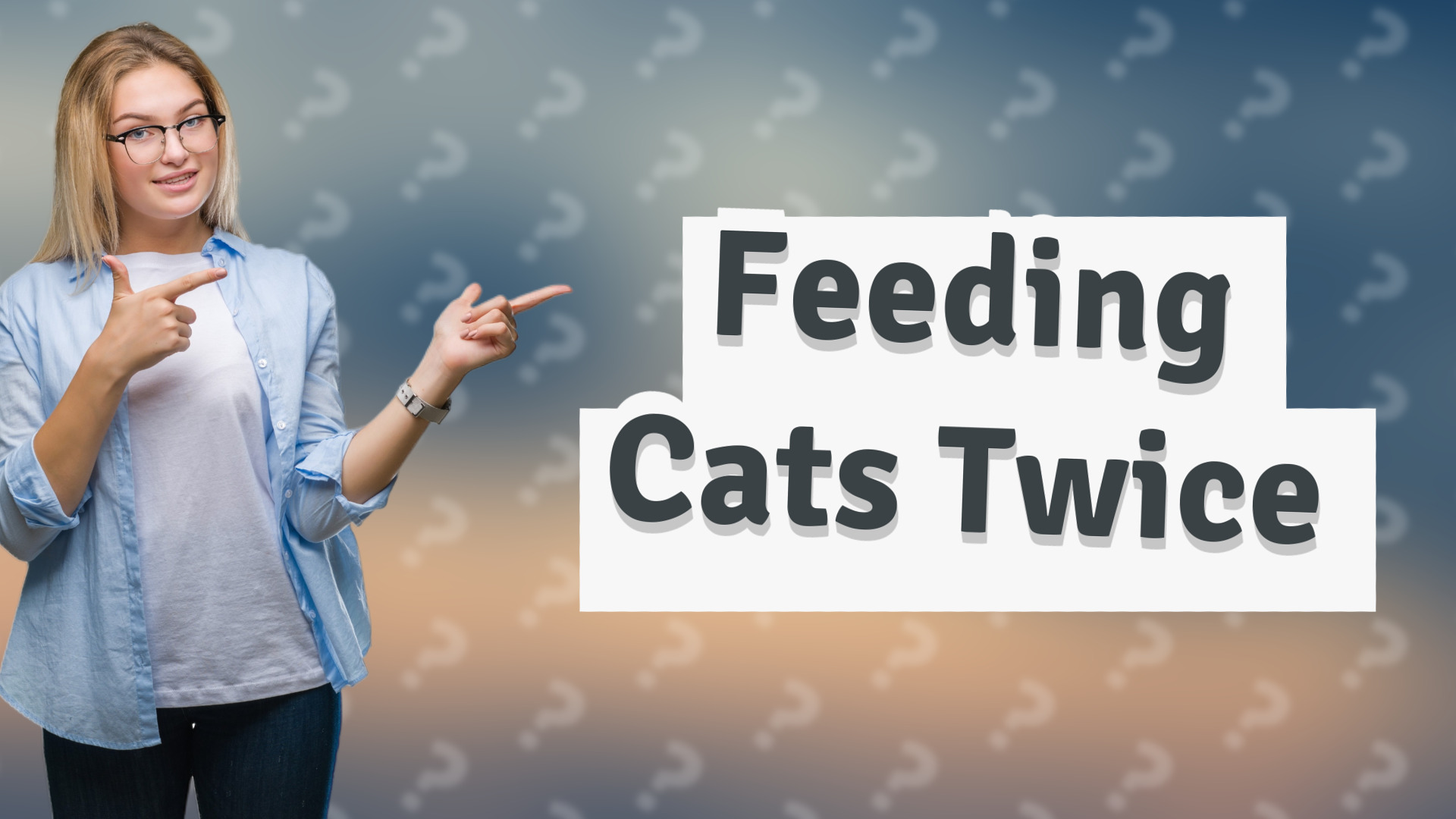Feeding Cats Twice
