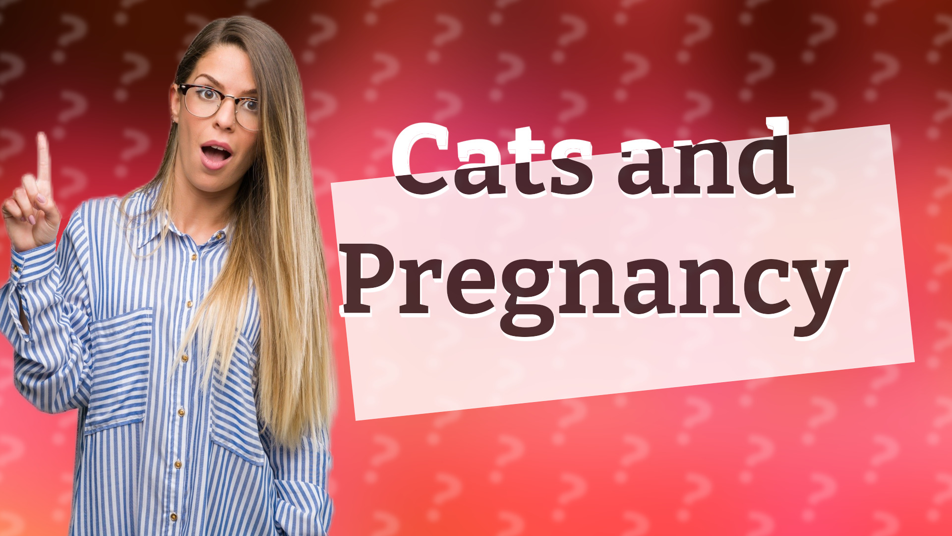 Cats and Pregnancy