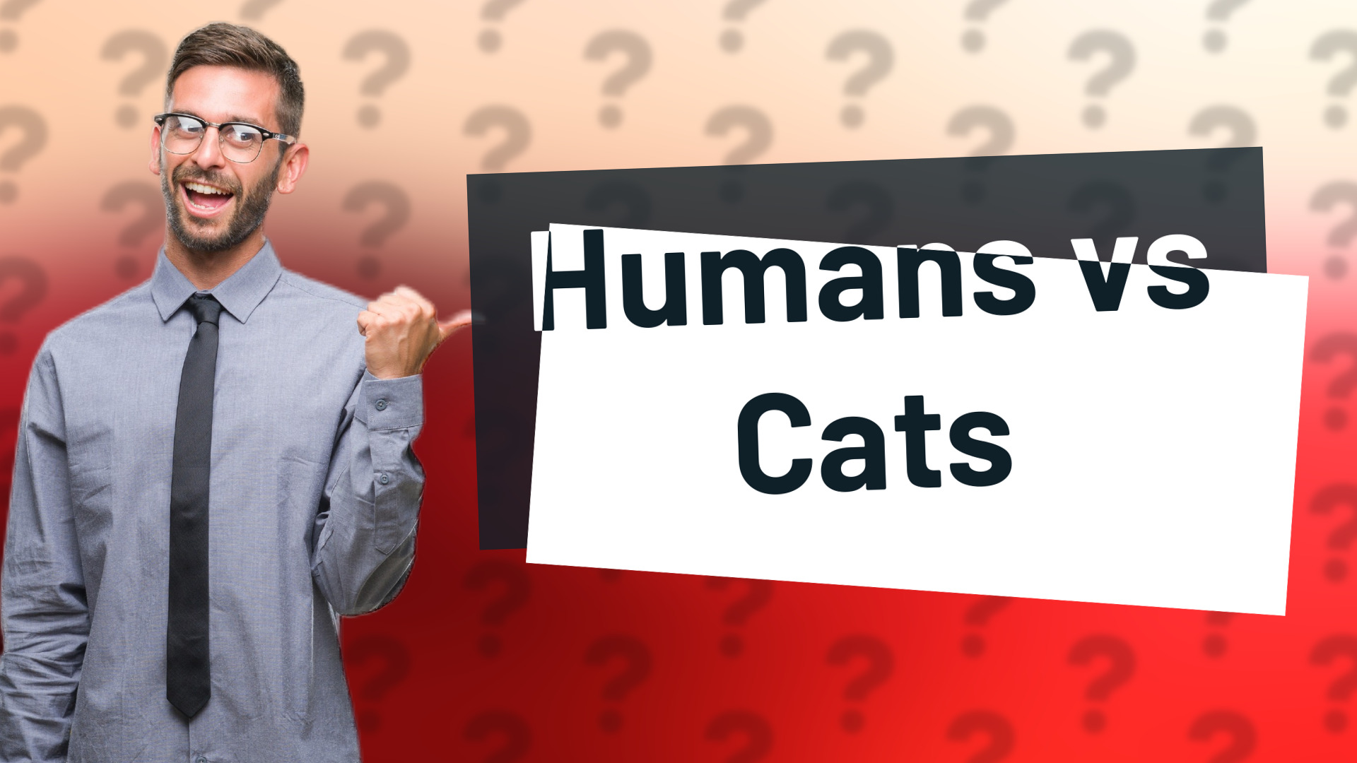 Humans vs Cats