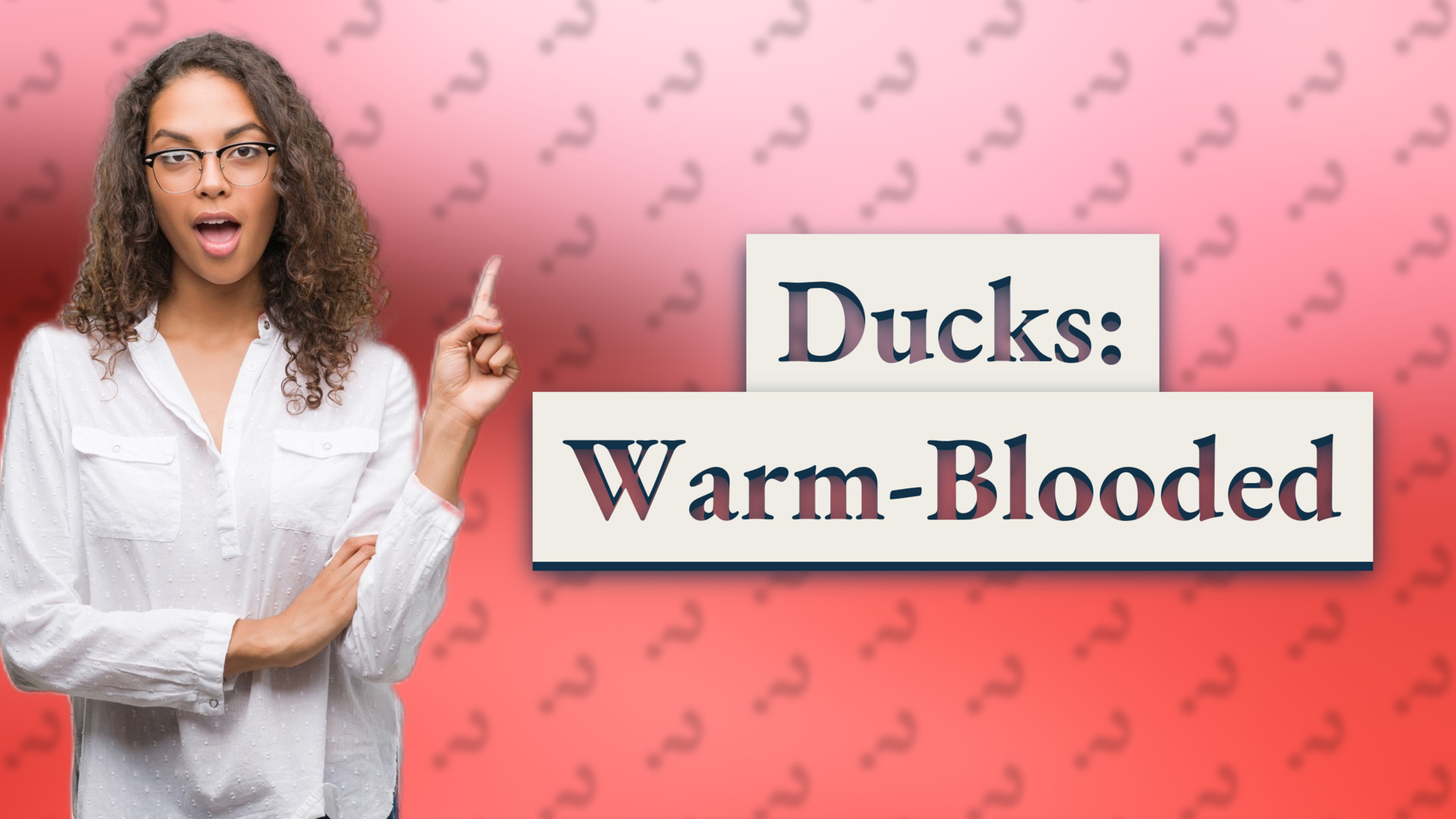 Ducks: Warm-Blooded