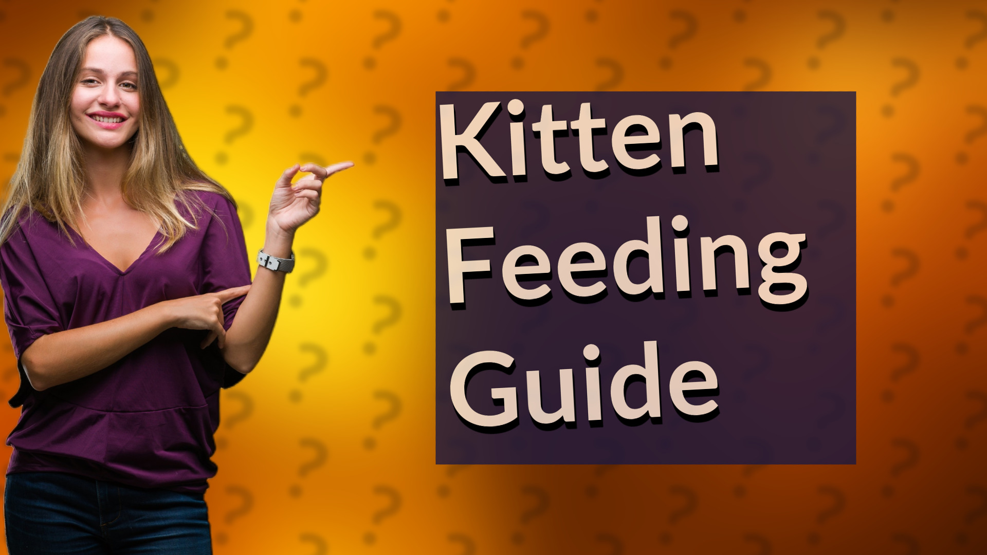 Kitten Feeding Guide
