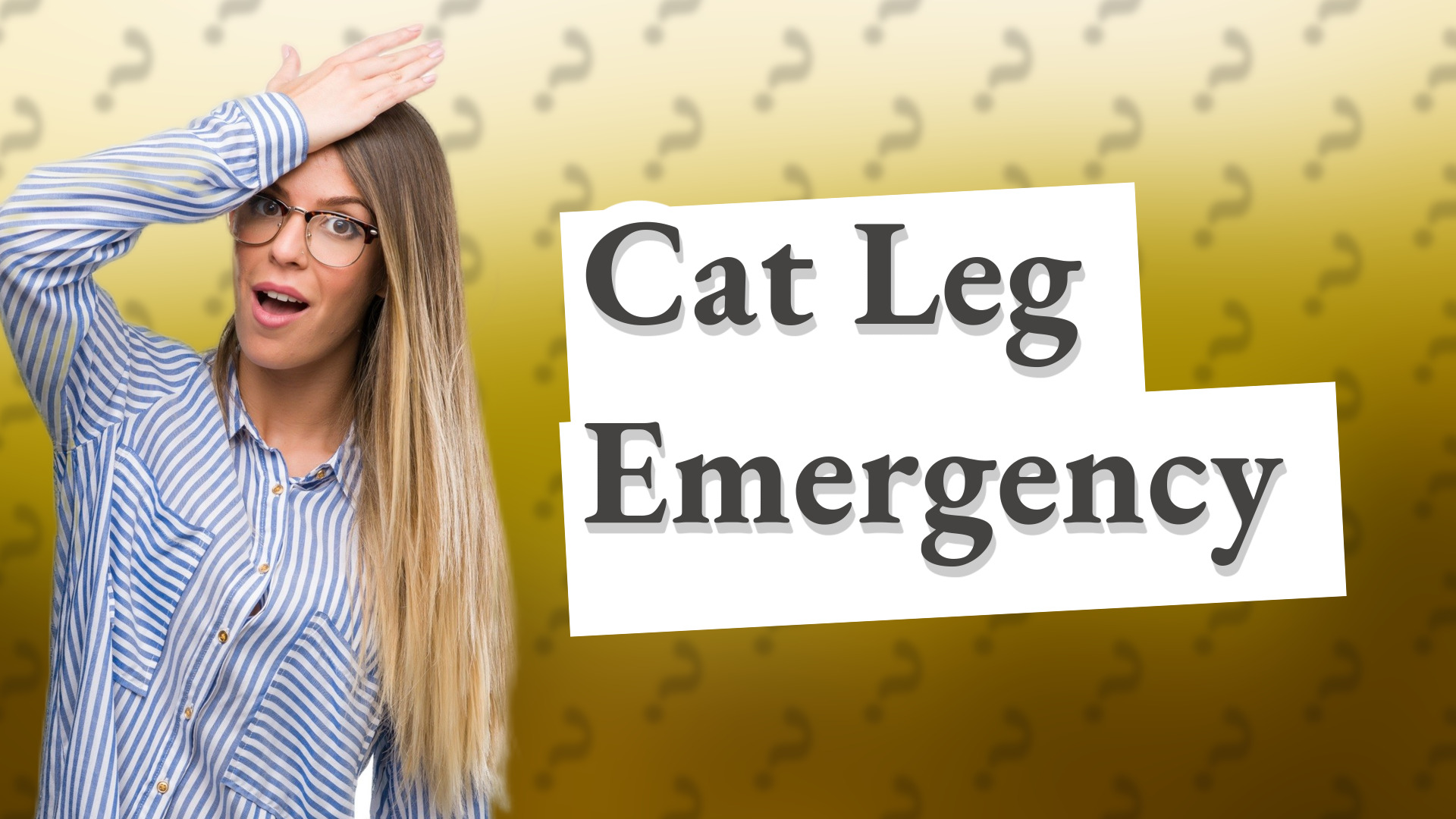 Cat Leg Emergency