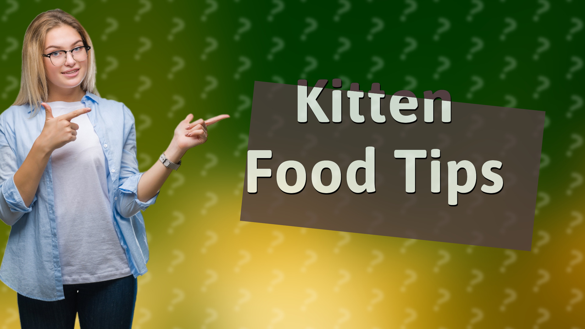 Kitten Food Tips