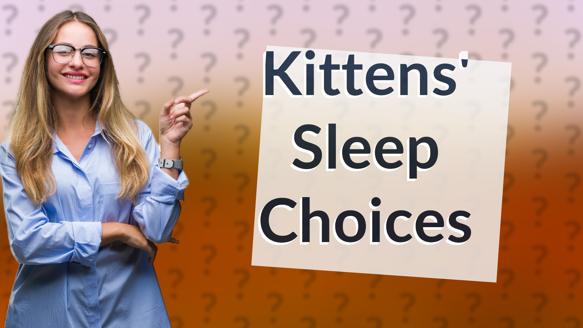 Kittens' Sleep Choices