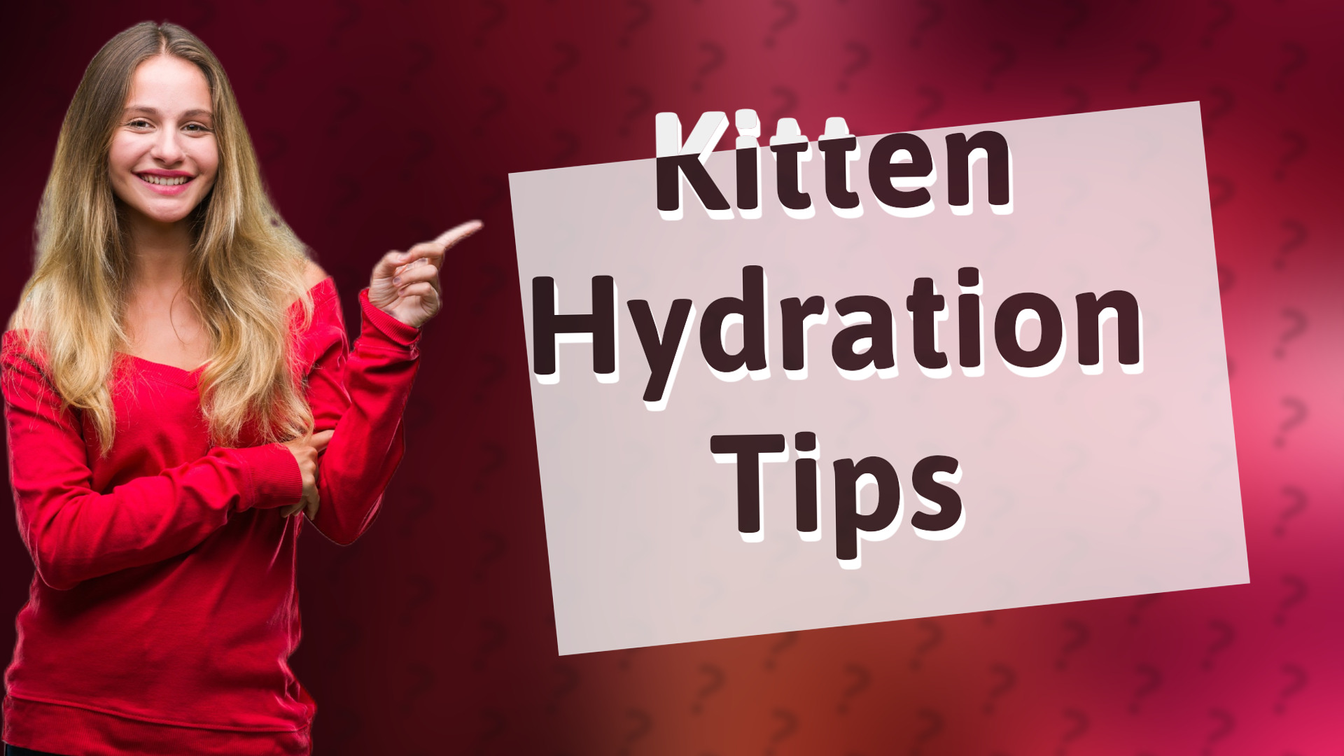 Kitten Hydration Tips