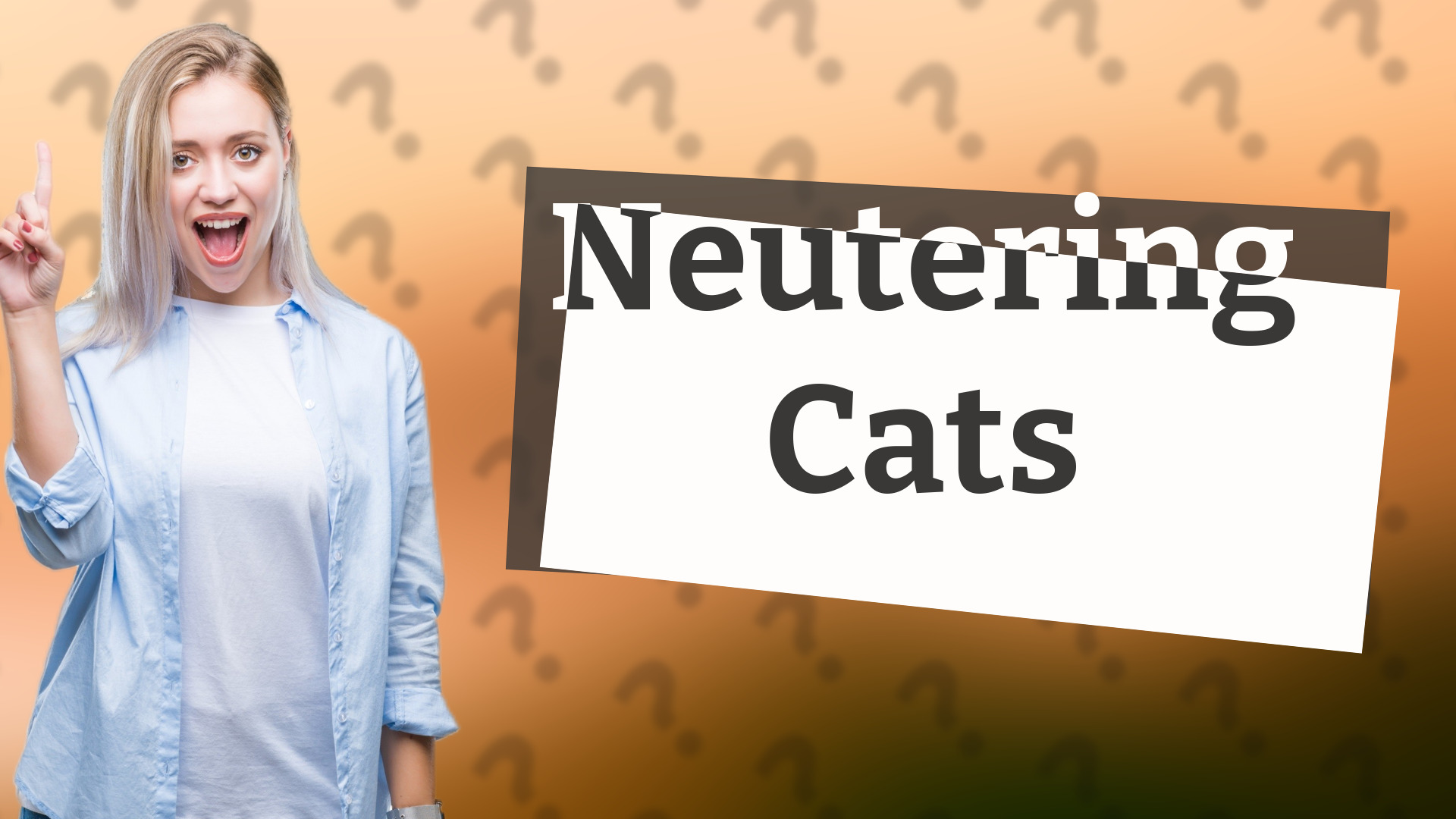 Neutering Cats