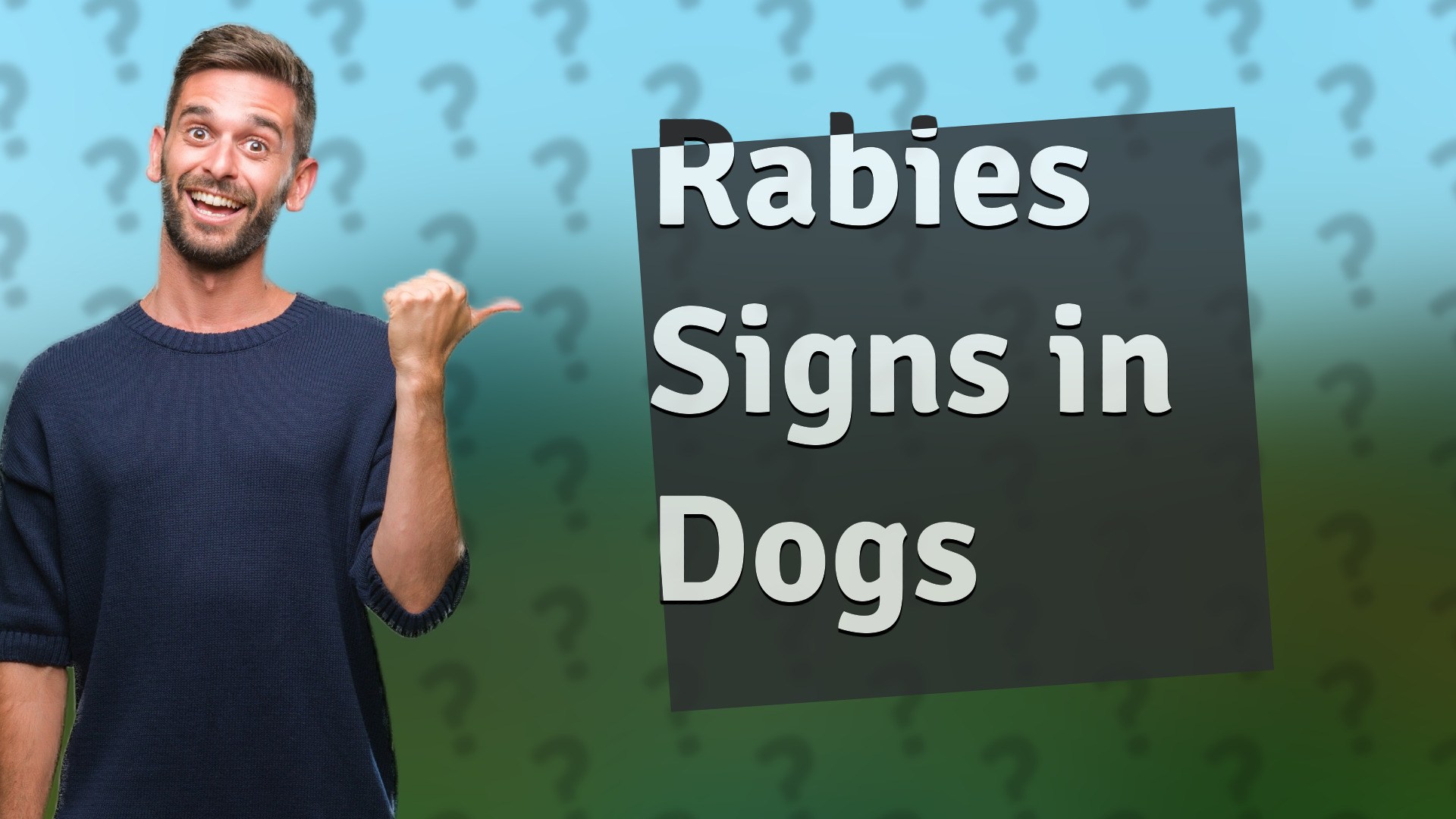 Rabies Signs in Dogs