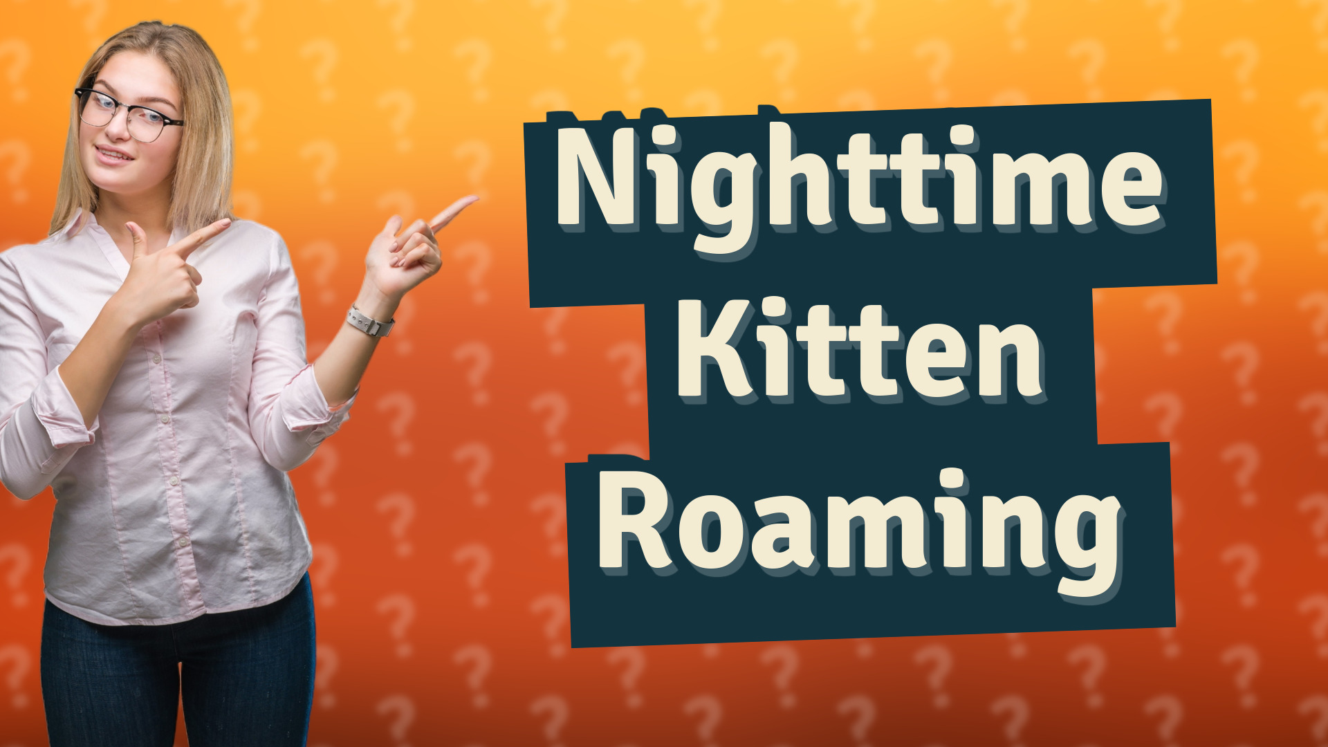 Nighttime Kitten Roaming