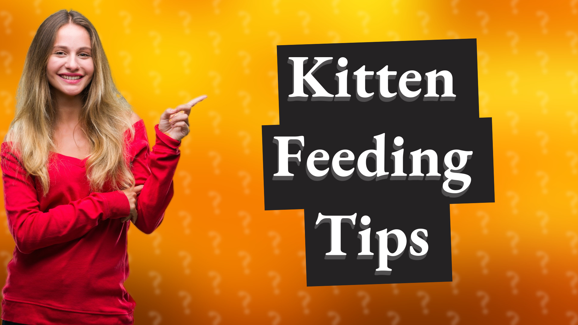 Kitten Feeding Tips