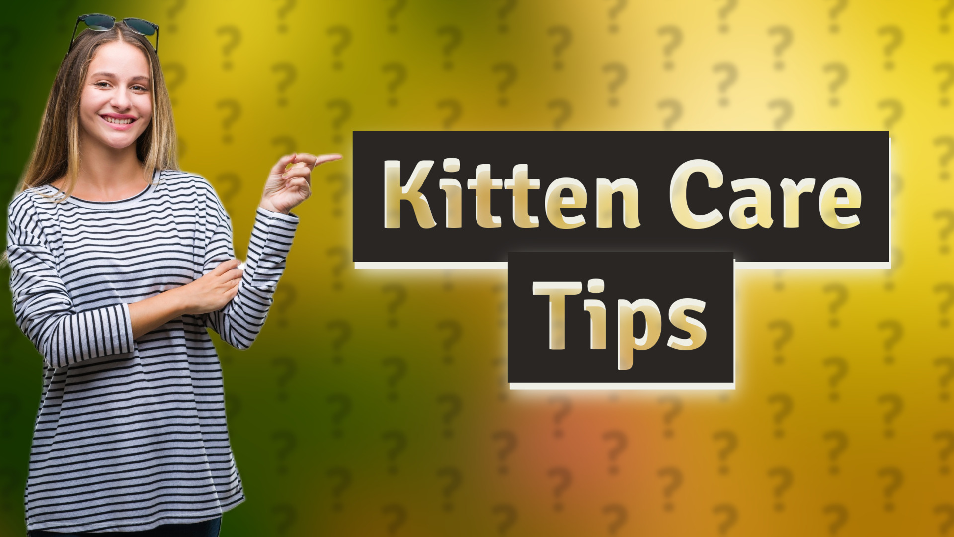 Kitten Care Tips