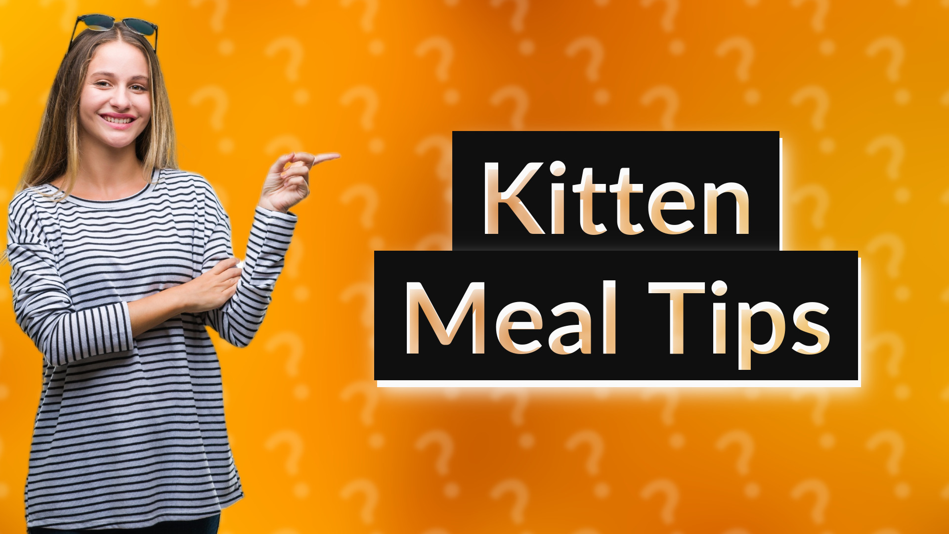 Kitten Meal Tips