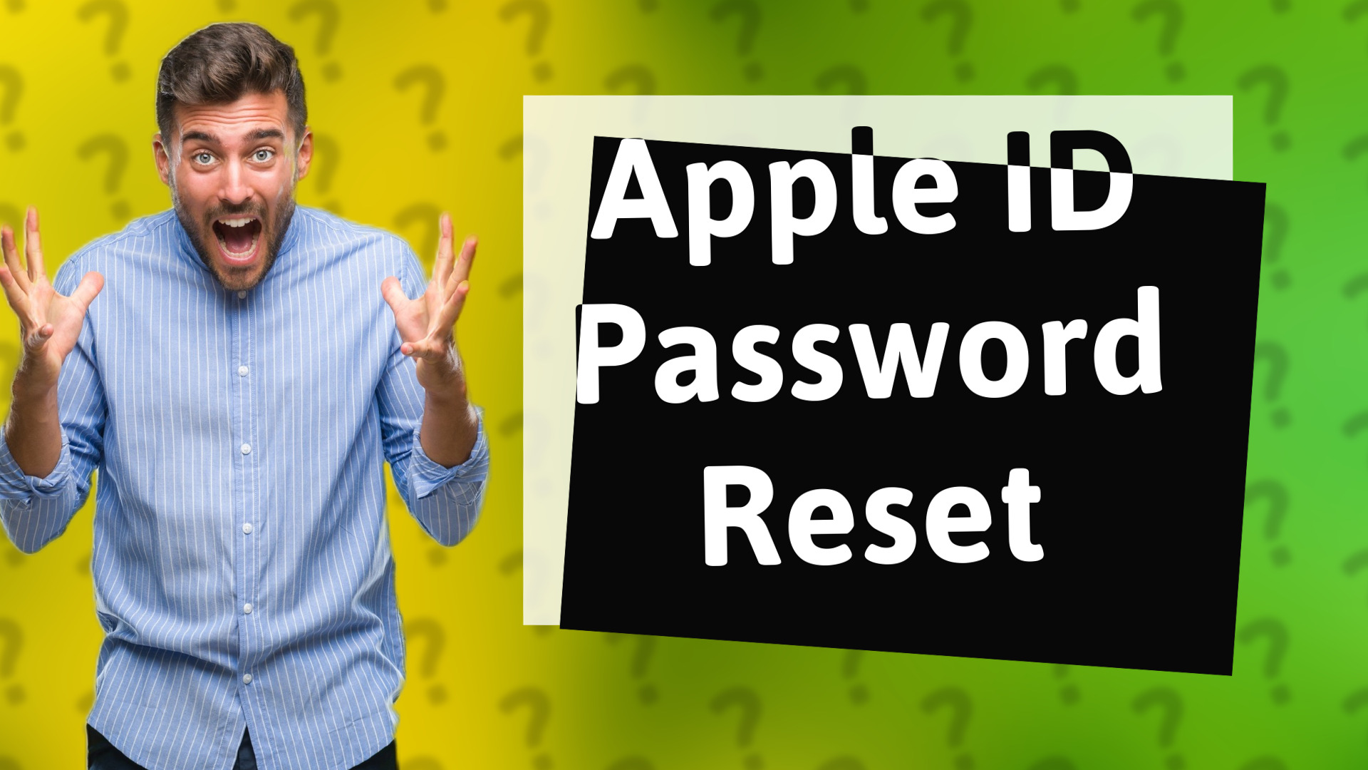 Apple ID Password Reset
