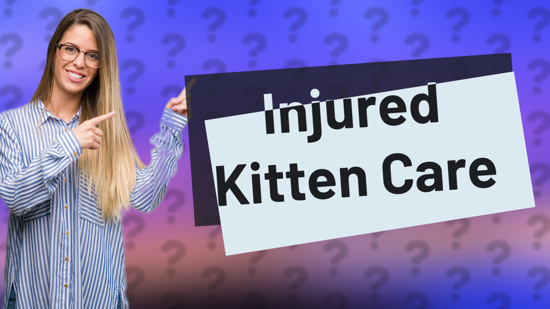 Injured Kitten Care