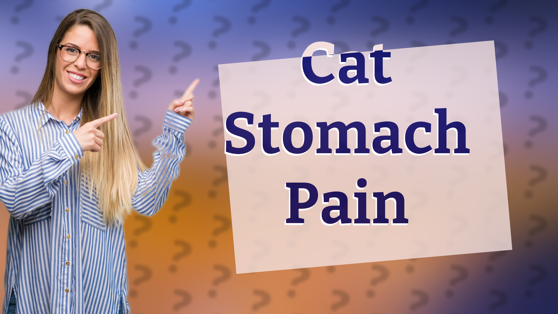 Cat Stomach Pain