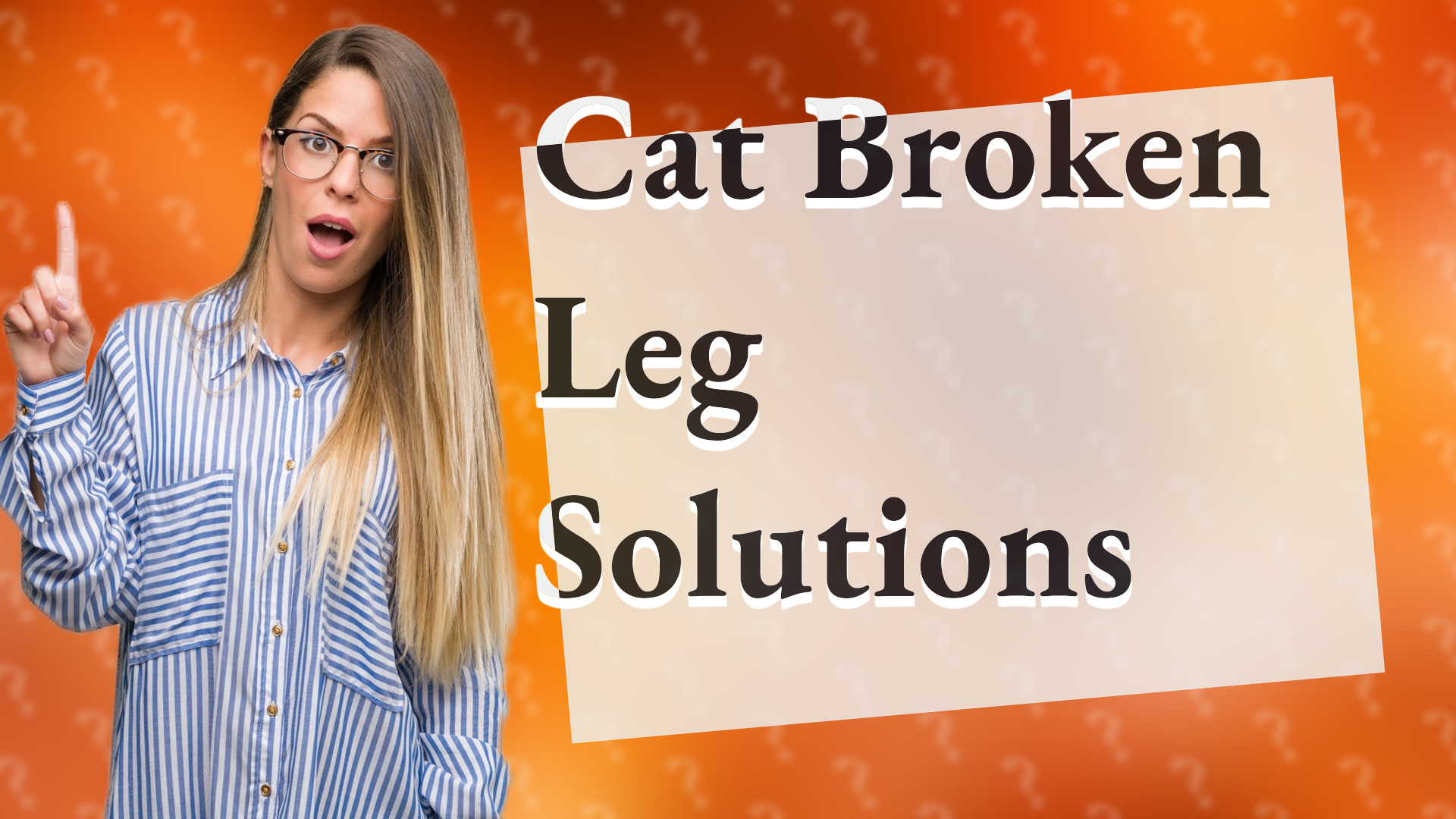 Cat Broken Leg Solutions
