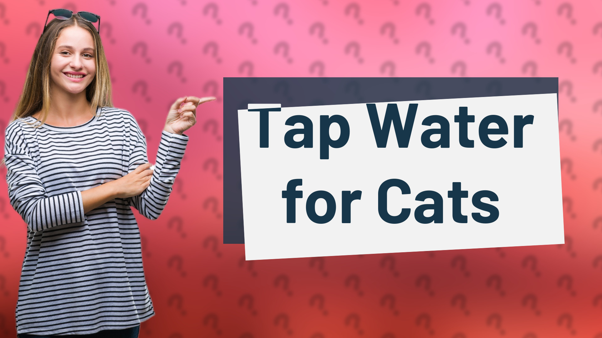 Tap Water for Cats