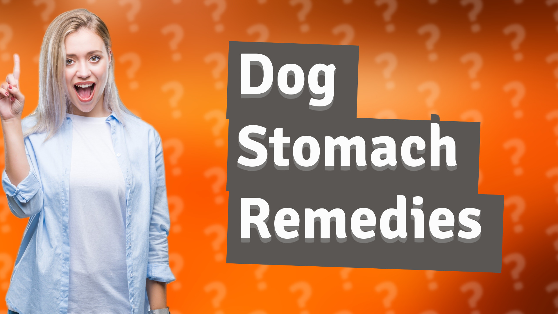 Dog Stomach Remedies