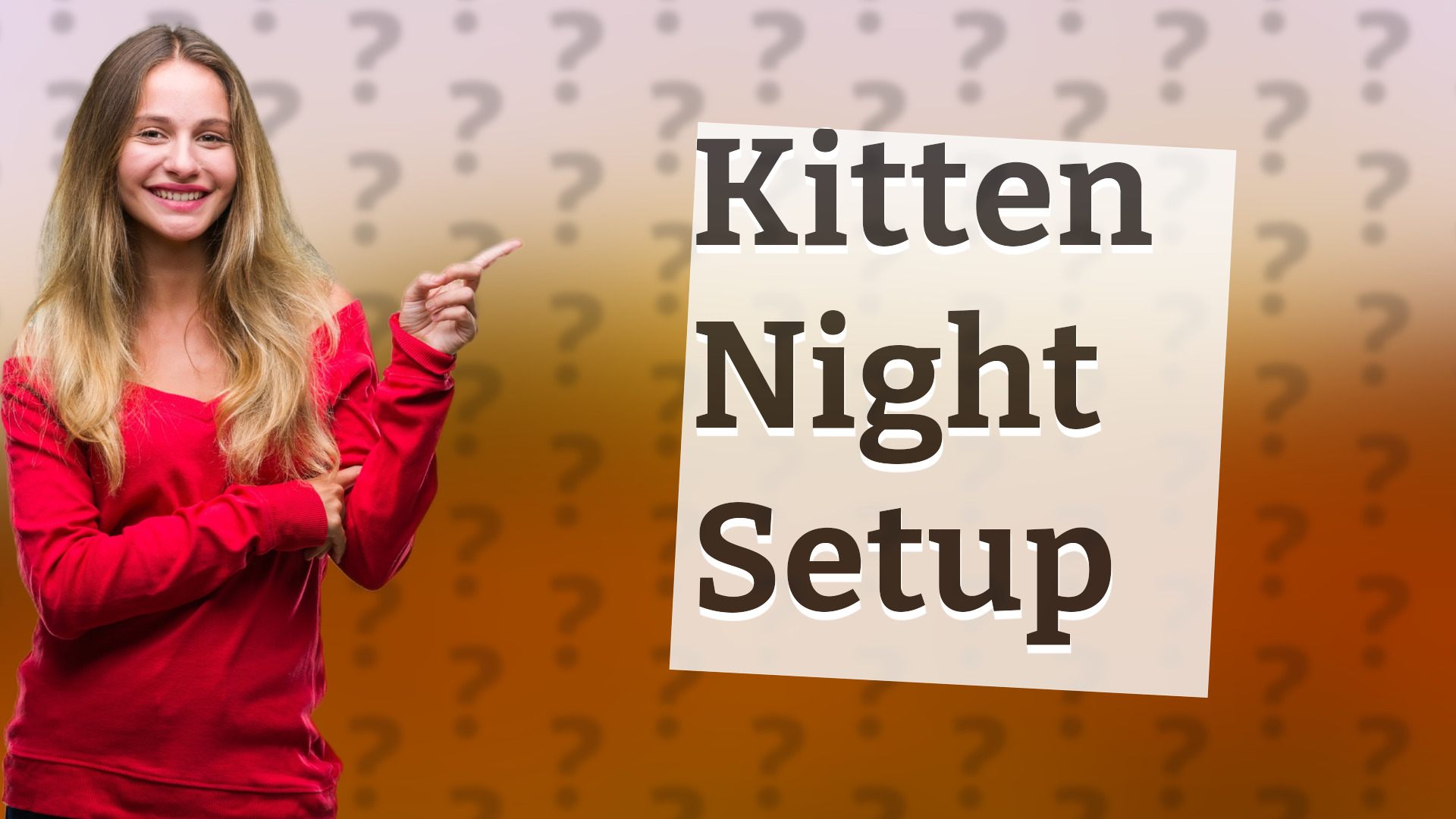 Kitten Night Setup