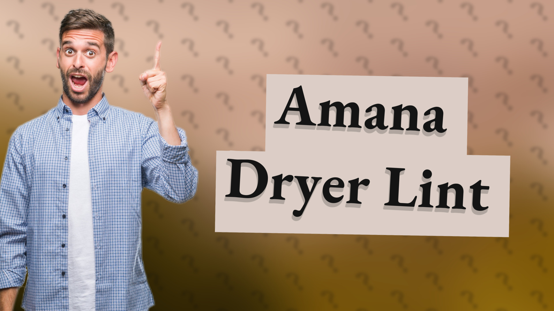 Amana Dryer Lint
