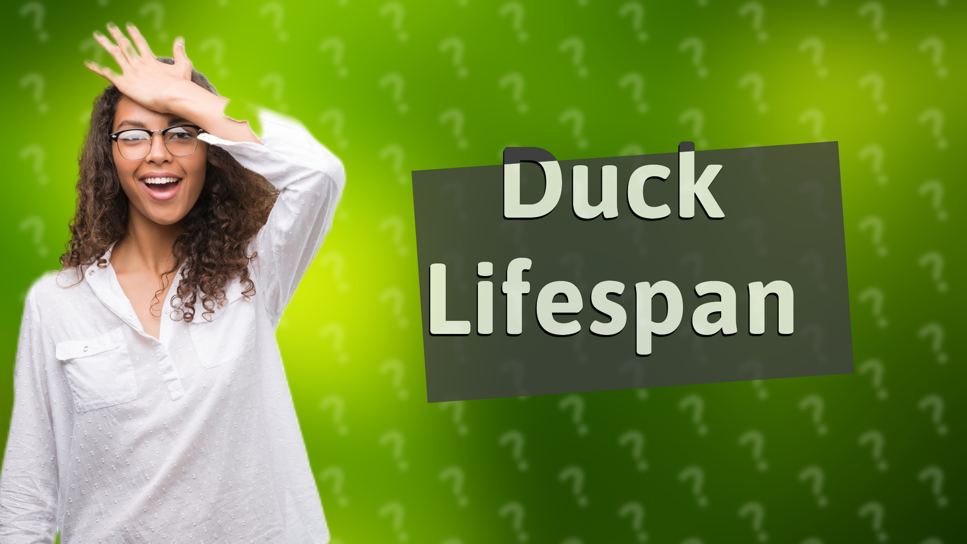 Duck Lifespan
