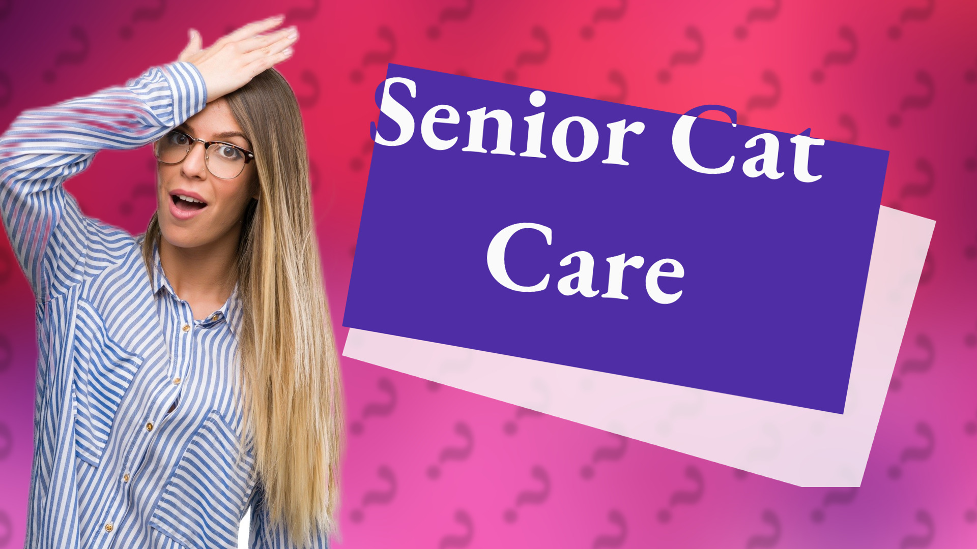 Senior Cat Care