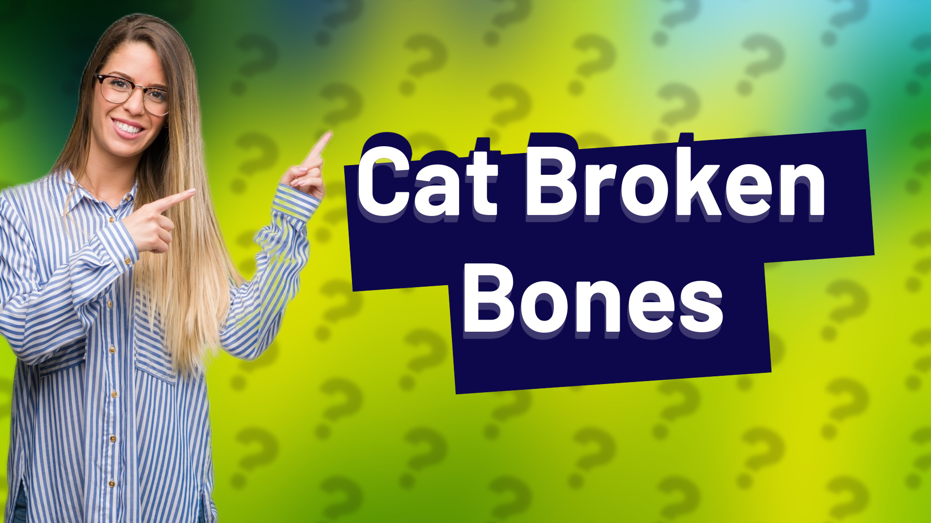 Cat Broken Bones