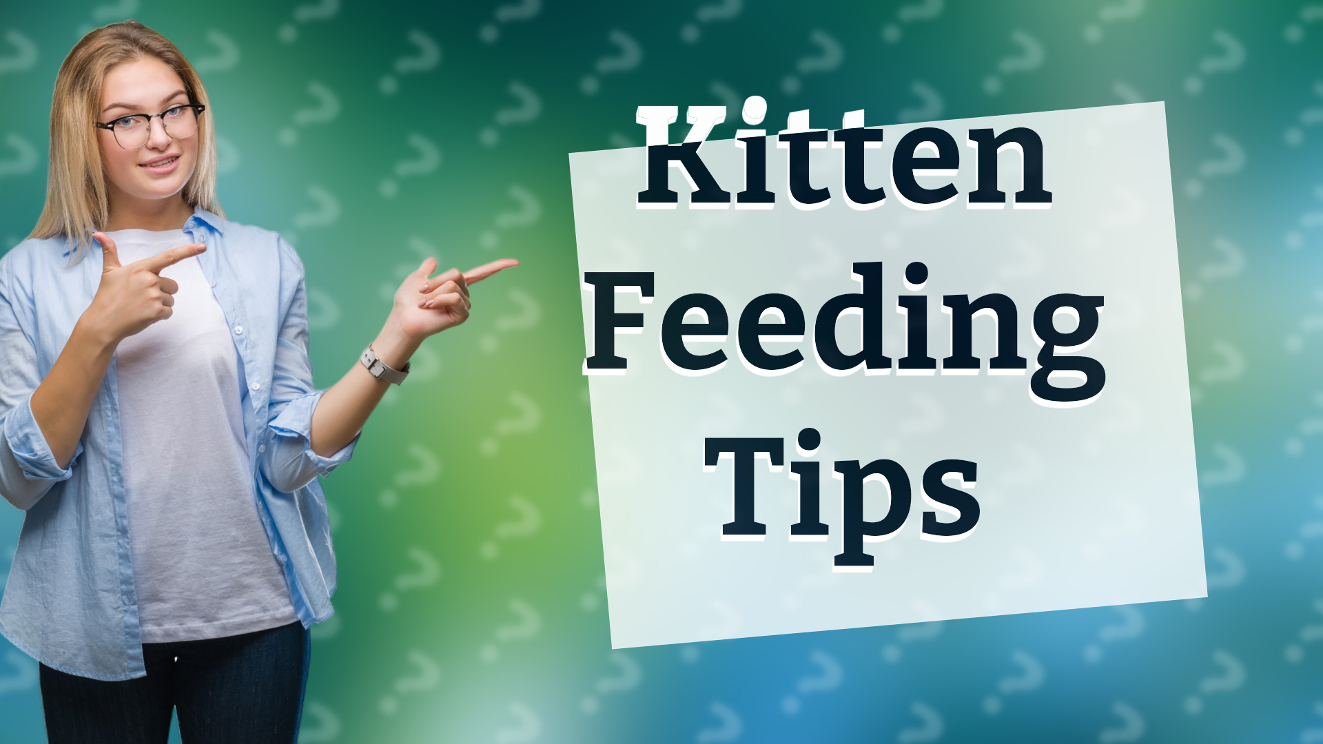 Kitten Feeding Tips
