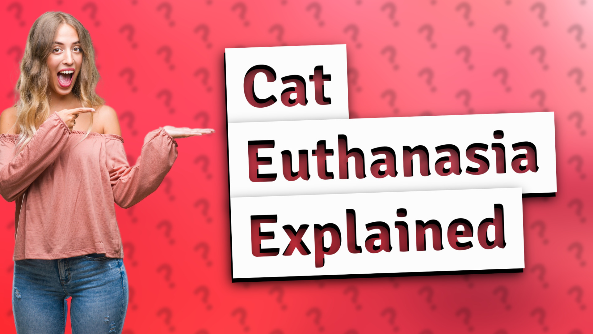 Cat Euthanasia Explained