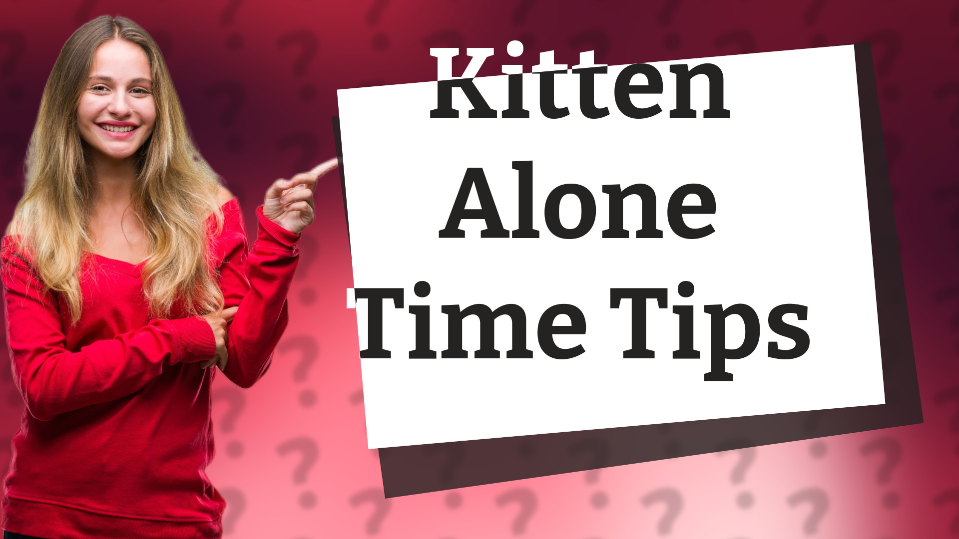 Kitten Alone Time Tips