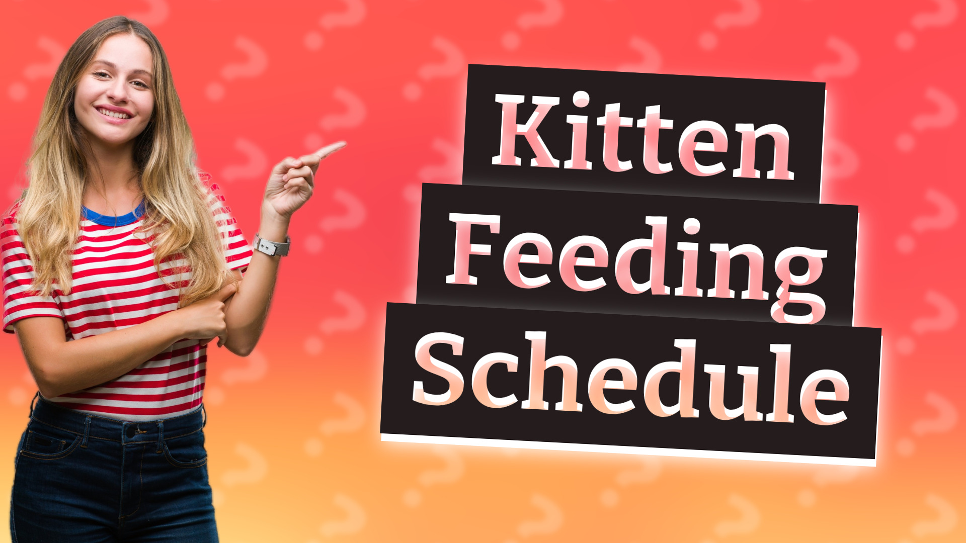 Kitten Feeding Schedule